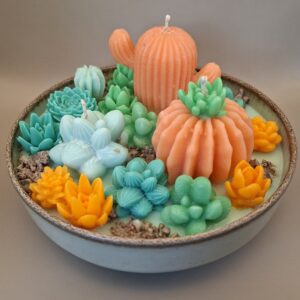D15 succulent light