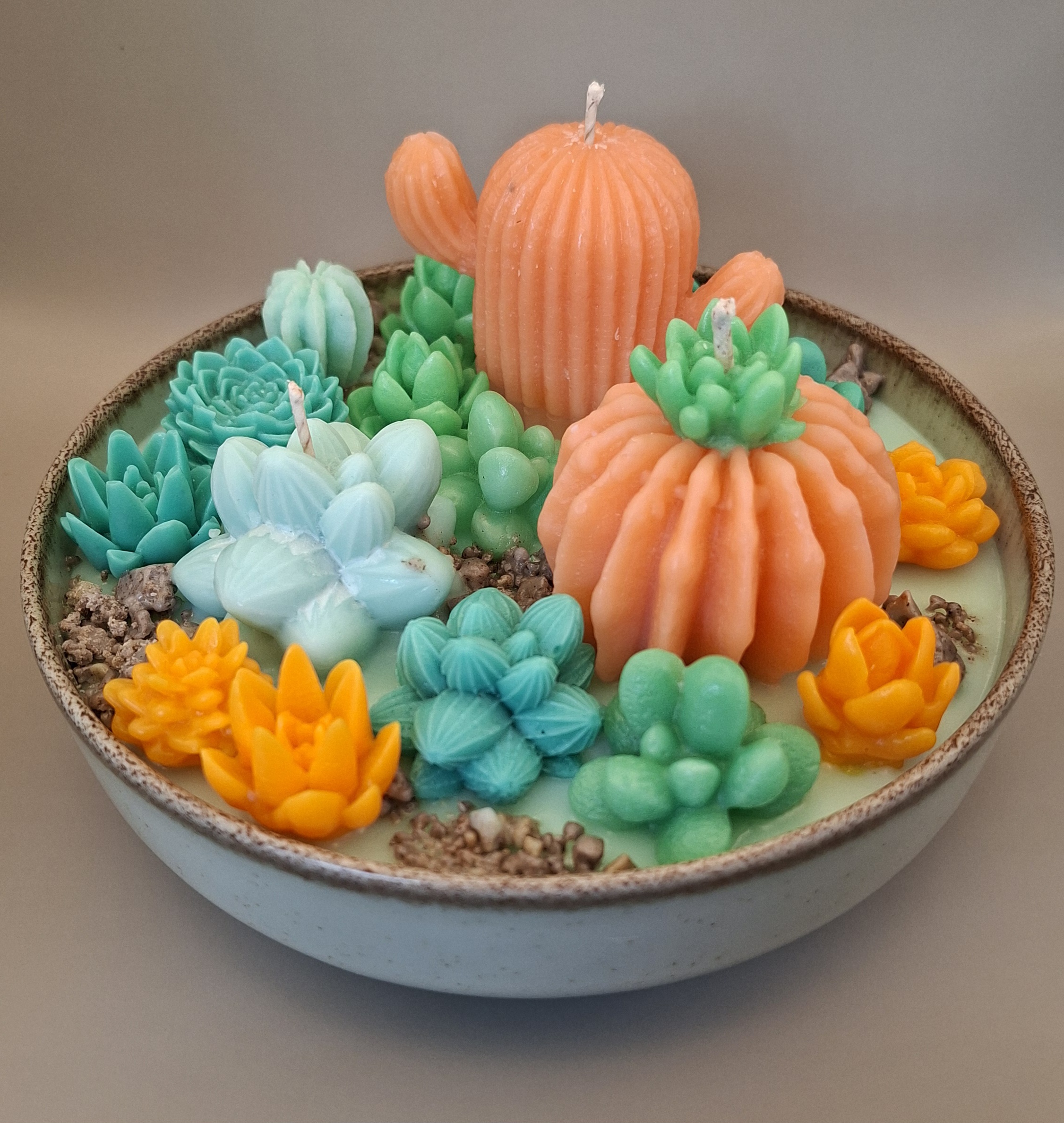 D15 succulent light