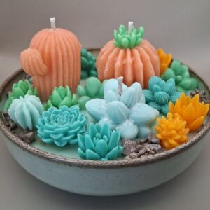 Succulent front view light orange