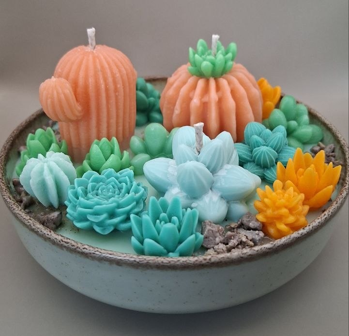 Succulent front view light orange
