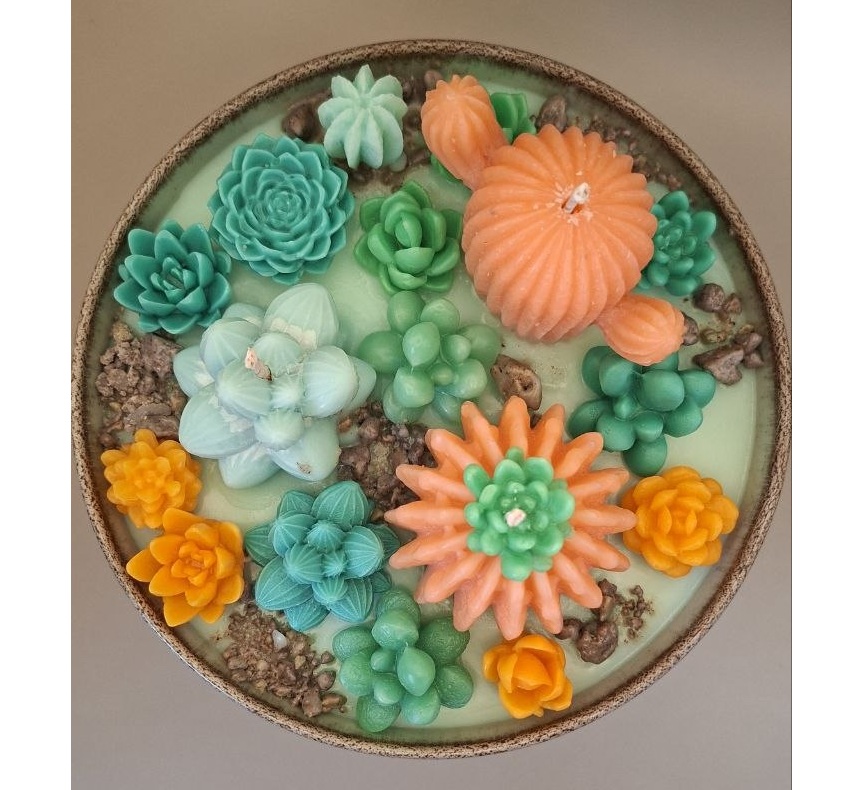 Succulent up view