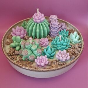 Succulent garden d=15cm