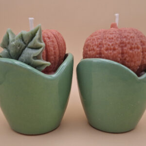 Pumpkin mini cups