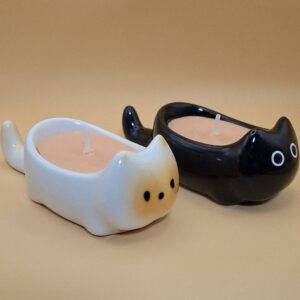 Candle Sushi cat black and white