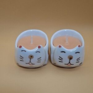Candle Sushi cats front