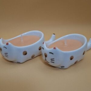 Candle Sushi cats left